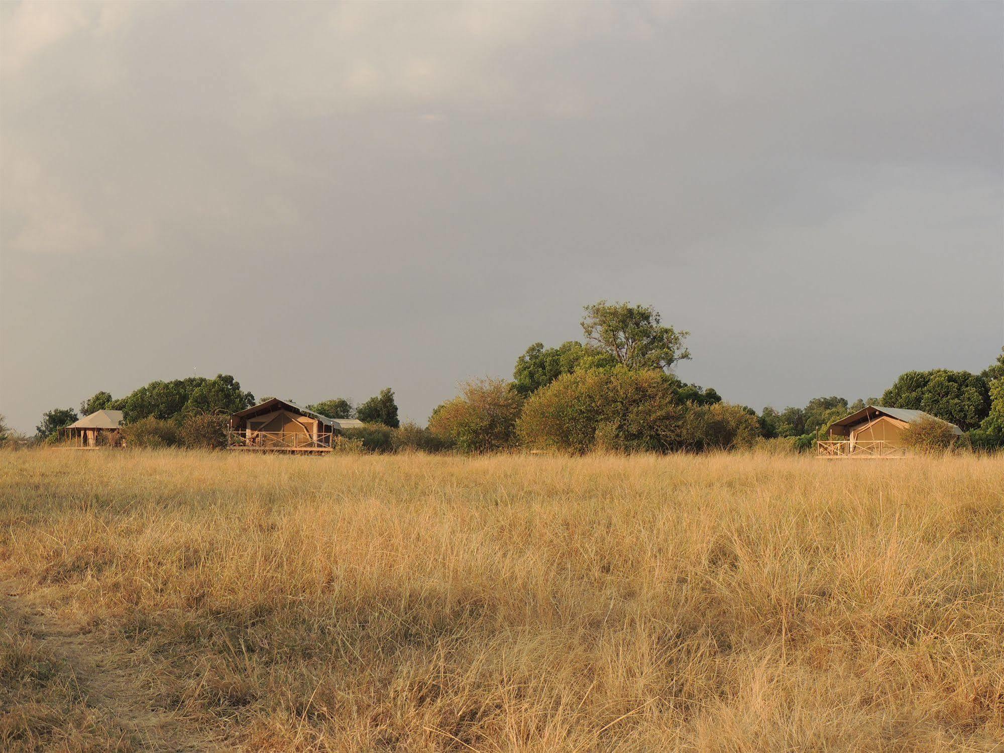 Loyk Mara Camp Talek Exterior foto